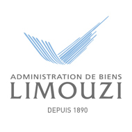Limouzi, une agence immobilière à Lyon pour vous accompagner
