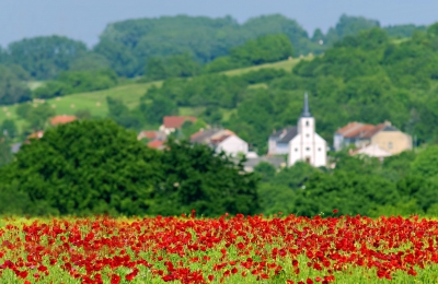 Départements ruraux : 5 bonnes raisons d’y habiter