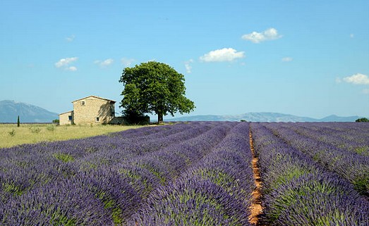 immobilier-bouches-du-rhone